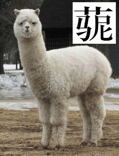 我很可愛吧,我叫草尼馬~~~~