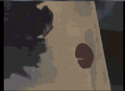 penis.jpg
