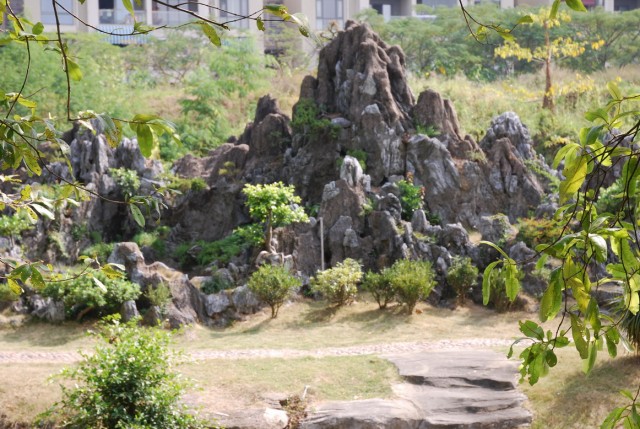 DSC_0201a.jpg