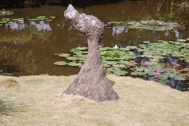 DSC_0202a.jpg