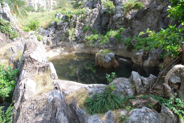 DSC_0204a.jpg