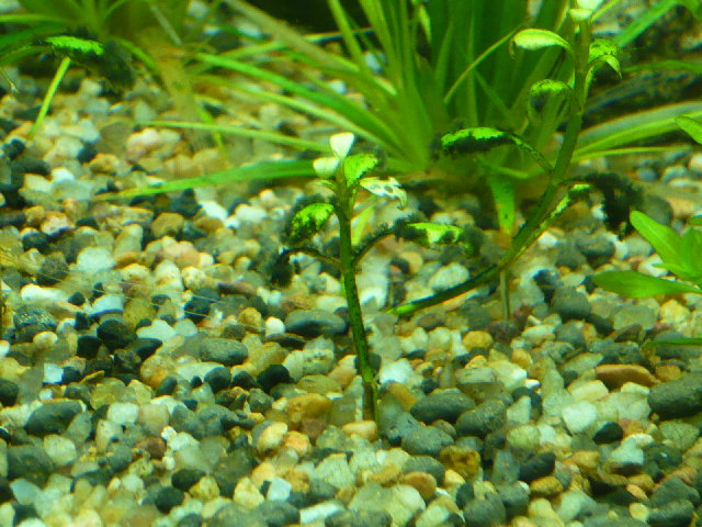 P1010654.JPG