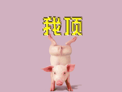 026E43E3.gif